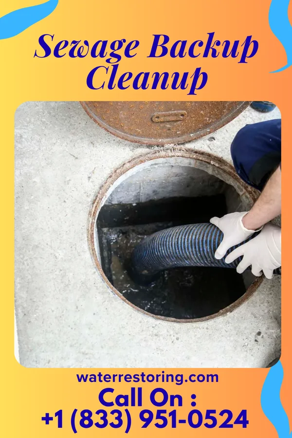 Sewage Backup Cleanup in Corydon, IA